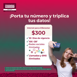 Plan Prepago  30 Días 35 GB IPB  (Activación Promo Portabilidad 2025)